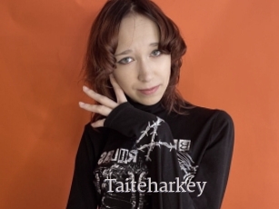 Taiteharkey