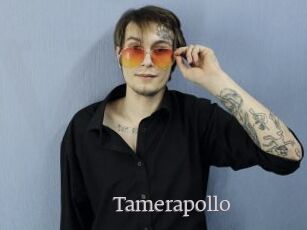 Tamerapollo