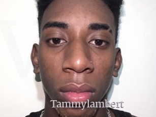 Tammylambert