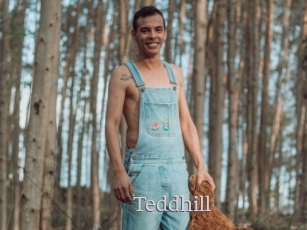 Teddhill