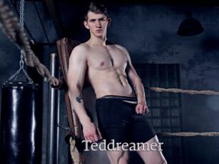 Teddreamer