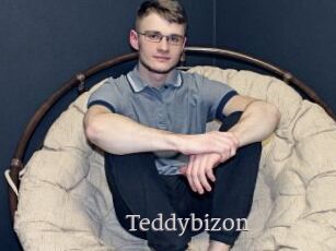 Teddybizon