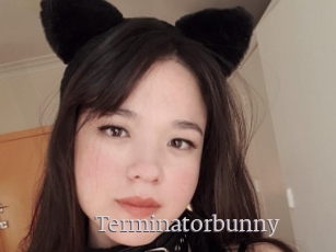 Terminatorbunny