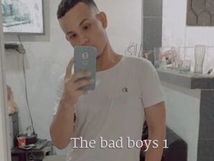 The_bad_boys_1