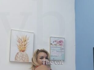 The_cat