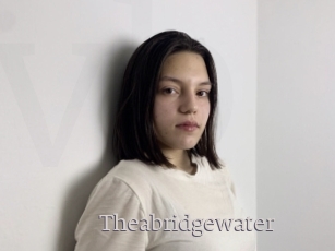 Theabridgewater