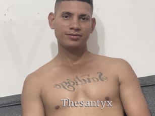 Thesantyx