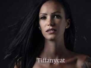 Tiffanycat