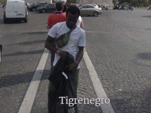 Tigrenegro