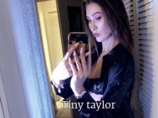 Tiny_taylor