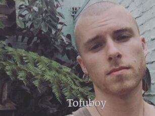 Tofu_boy
