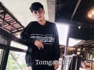 Tomgandler