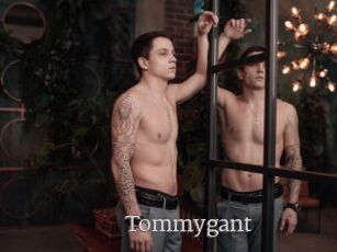 Tommygant
