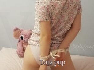 Tora_pup