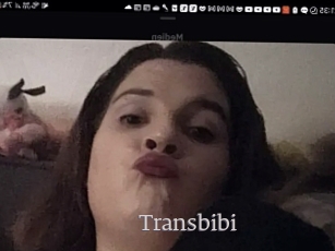 Transbibi