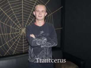 Trantcerus