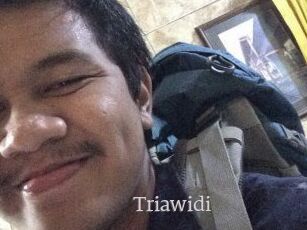 Triawidi
