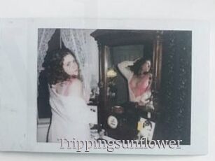 Trippingsunflower