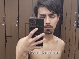 Twunkmikee