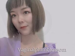 Vaginalplumblossom