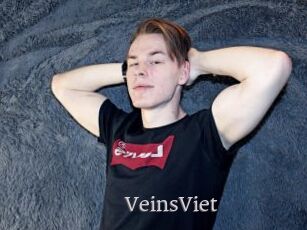 VeinsViet