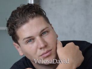 VelosaDavid