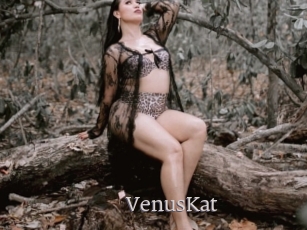 VenusKat