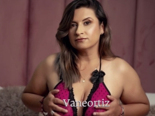 Vaneortiz