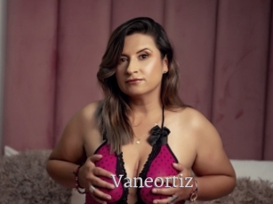 Vaneortiz