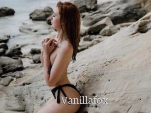 Vanillafox
