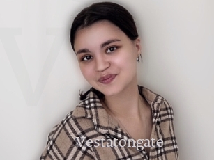 Vestatongate