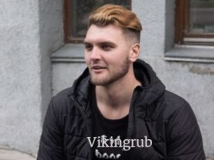 Vikingrub