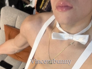 Vincentbunny