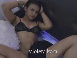 Violeta_kam