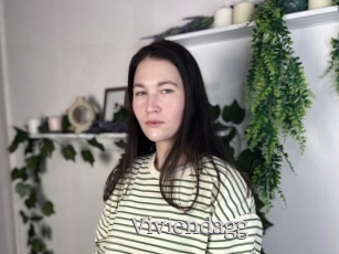 Viviendagg