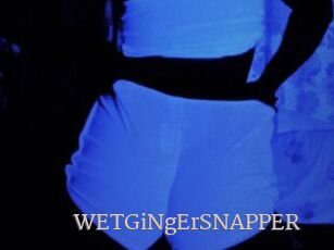 WETGiNgErSNAPPER