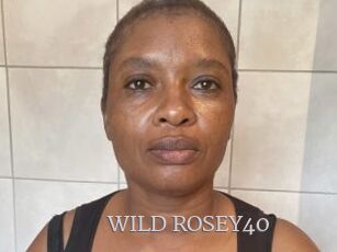 WILD_ROSEY40