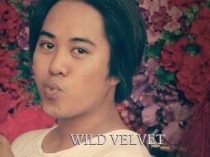 WILD_VELVET