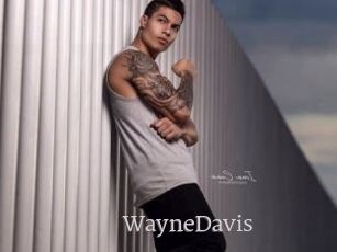 WayneDavis