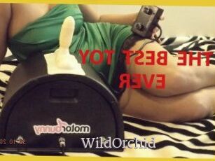 WildOrchid_