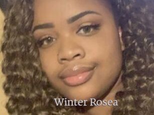 Winter_Rosea