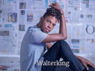 Walterking
