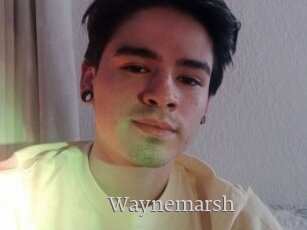 Waynemarsh