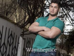 Waynneprice
