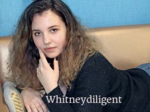 Whitneydiligent