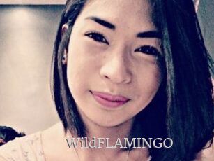 WildFLAMINGO