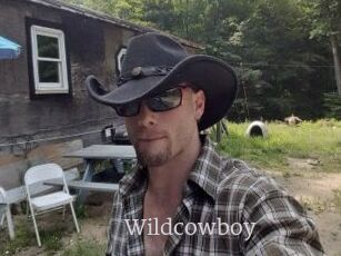 Wildcowboy