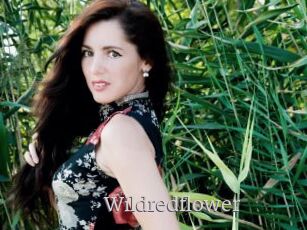 Wildredflower