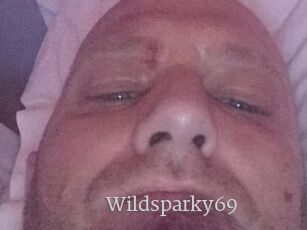 Wildsparky69