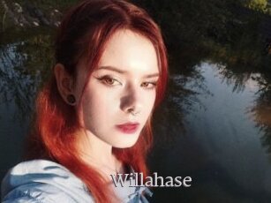 Willahase